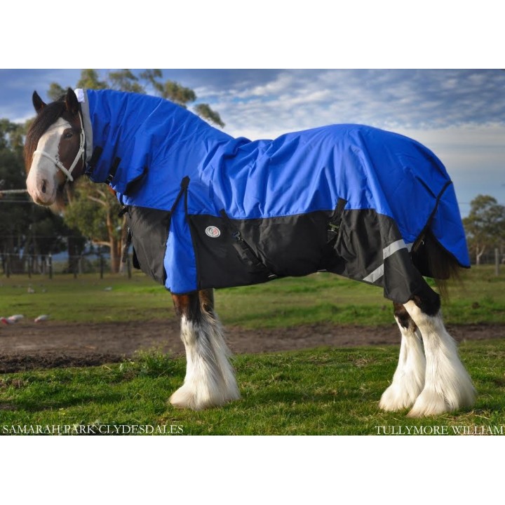 Clydesdale Winter Horse Rug 200g Waterproof Combo | Big Horse Fit