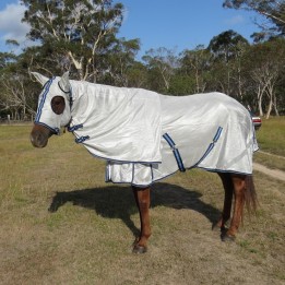 Horse wearing Love My Horse silver duramesh hooded combo with blue trim