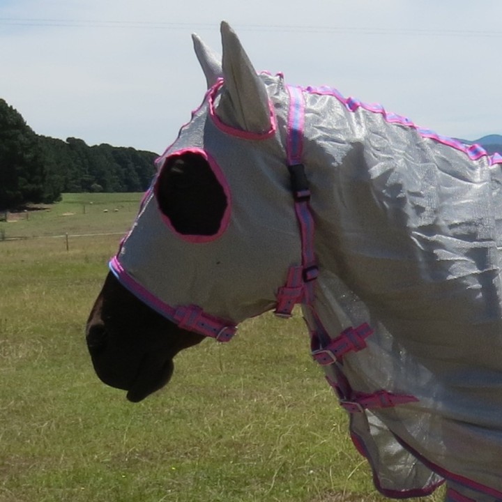 Face of horse wearing silver Love My Horse Dura Mesh Hooded Combo with eye holes and ear coverage and throat latch