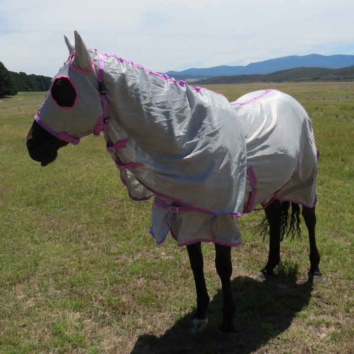 Horse wearing silver Love My Horse Dura Mesh Hooded Combo with full face coverage, eye holes and ears covered
