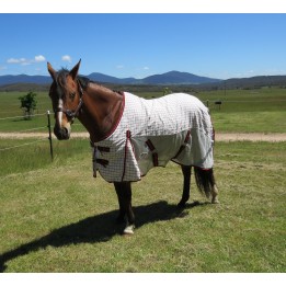 Horse wearing Poly Cotton / Dura Mesh Hybrid Std Rug with red / black trim