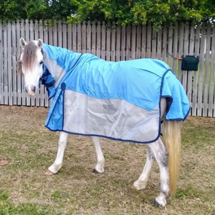 Rainsheet Mesh Hybrid Horse Rugs Blue | LOVE MY HORSE AU