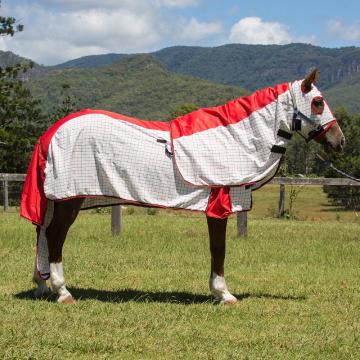Rainsheet Cotton Show Set Horse Rugs Red | LOVE MY HORSE AU