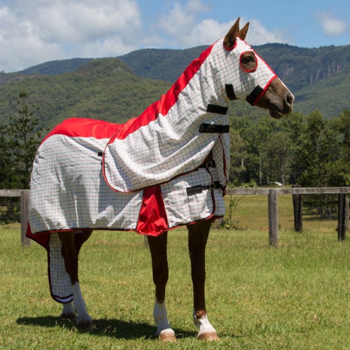 Rainsheet Cotton Show Set Horse Rugs Red | LOVE MY HORSE AU