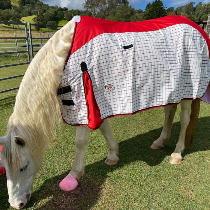 Rainsheet Cotton Show Set Horse Rugs Red | LOVE MY HORSE AU