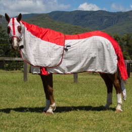 Rainsheet Cotton Show Set Horse Rugs Red | LOVE MY HORSE AU