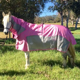 horse wearing pink rainsheet mesh hybrid with pink waterproof top layer and silver mesh side panels