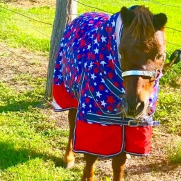 600D 180g Combo Horse Rugs Mini Stars | LOVE MY HORSE AU