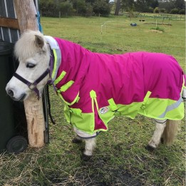 Miniature Winter Combo Horse Rugs Rasberry | LOVE MY HORSE