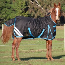 1200 Denier Winter Wug Horse Rug Black – High Neck Fit for Finer Builds | LOVE MY HORSE