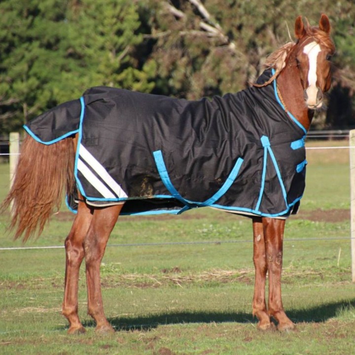 1200 Denier Winter Wug Horse Rug Black – High Neck Fit for Finer Builds | LOVE MY HORSE