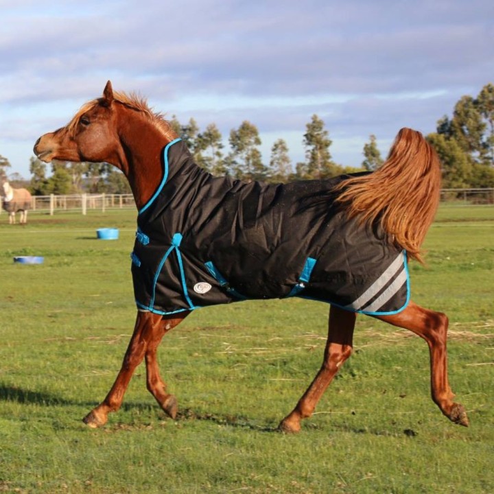 1200 Denier Winter Wug Horse Rug Black – High Neck Fit for Finer Builds | LOVE MY HORSE