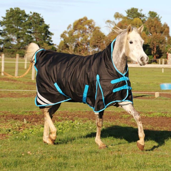 1200 Denier Winter Wug Horse Rug Black – High Neck Fit for Finer Builds | LOVE MY HORSE
