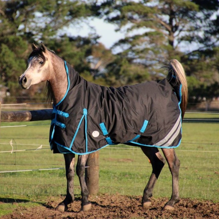 1200 Denier Winter Wug Horse Rug Black – High Neck Fit for Finer Builds | LOVE MY HORSE