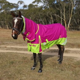Winter 180g Fill Combo Horse Rugs Pink Lime | LOVE MY HORSE