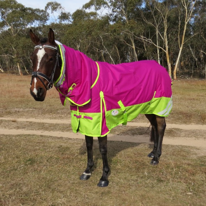 Winter 180g Fill Combo Horse Rugs Pink Lime | LOVE MY HORSE