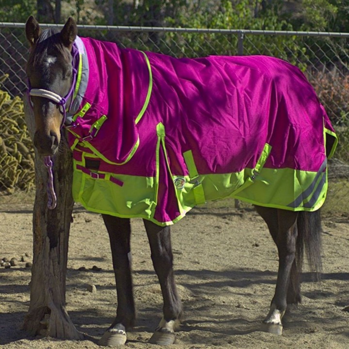 Winter 180g Fill Combo Horse Rugs Pink Lime | LOVE MY HORSE
