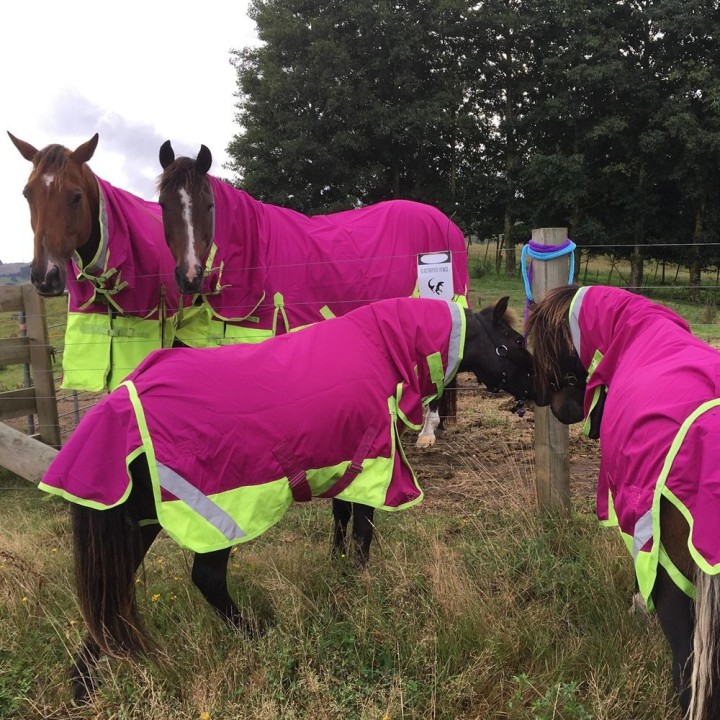 Winter 180g Fill Combo Horse Rugs Pink Lime | LOVE MY HORSE