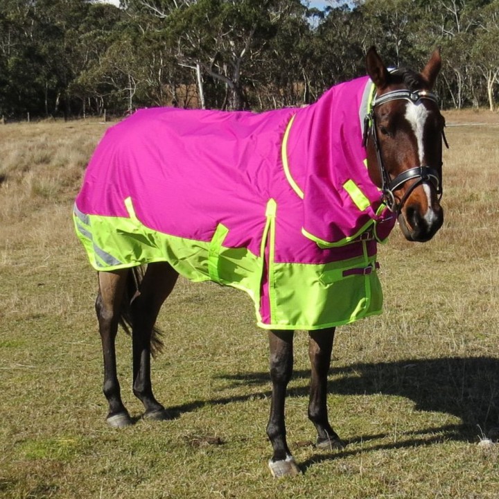 Winter 180g Fill Combo Horse Rugs Pink Lime | LOVE MY HORSE