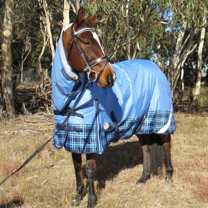 5'0 5'3 600D Rainsheet Combo Blue Horse Rugs | LOVE MY HORSE AU