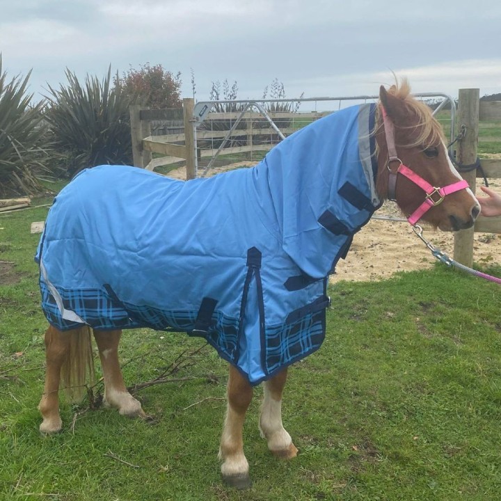 5'0 5'3 600D Rainsheet Combo Blue Horse Rugs | LOVE MY HORSE AU