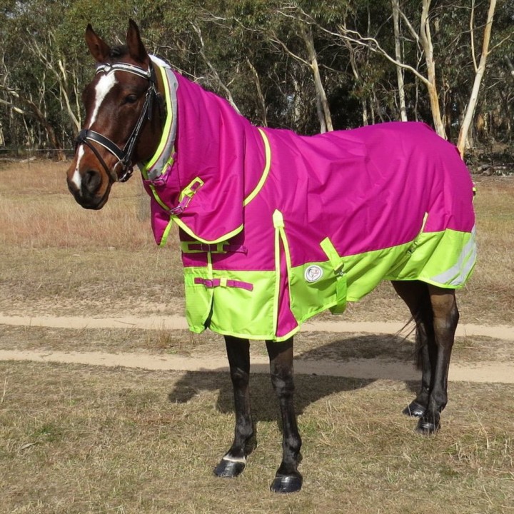 Waterproof Rain Sheet Horse Rugs Pink | LOVE MY HORSE
