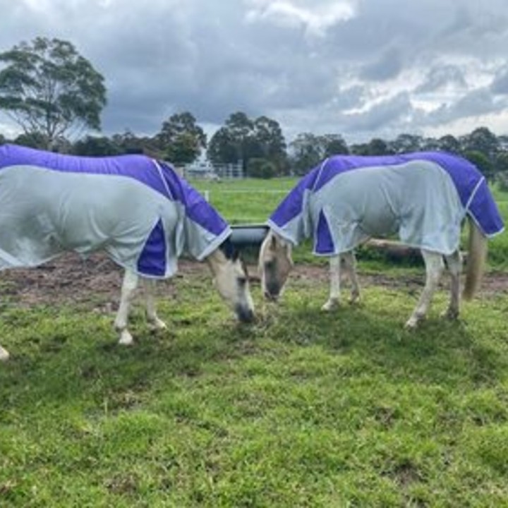 Rainsheet Dura Mesh Hybrid Combo Horse Rugs | LOVE MY HORSE AU