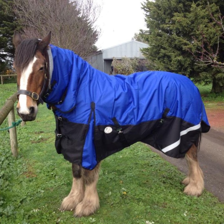 Clydesdale Winter Horse Rug 200g Waterproof Combo | Big Horse Fit