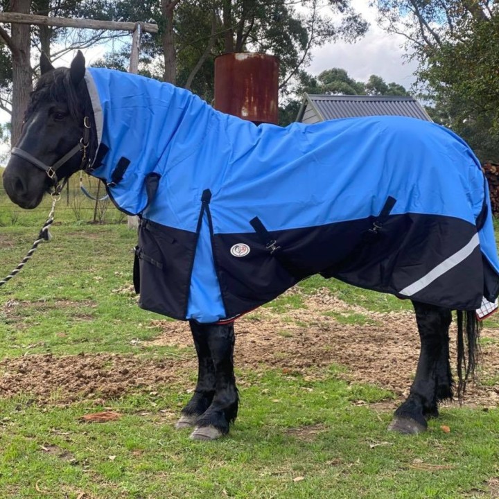 Clydesdale Winter Horse Rug 200g Waterproof Combo | Big Horse Fit