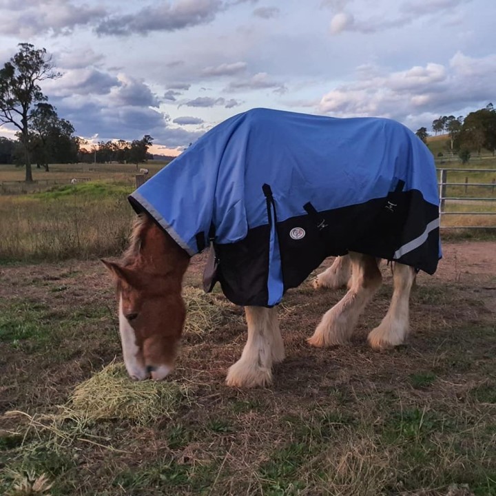 Clydesdale Winter Horse Rug 200g Waterproof Combo | Big Horse Fit