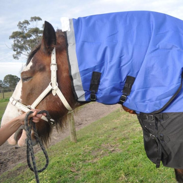 Clydesdale Winter Horse Rug 200g Waterproof Combo | Big Horse Fit