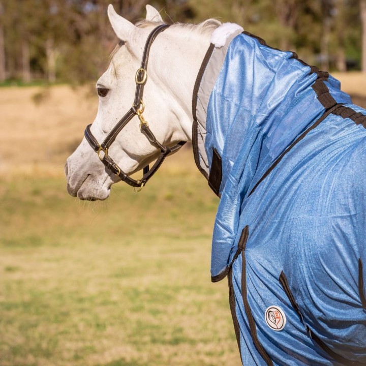 Love My Horse soft mesh combo blue