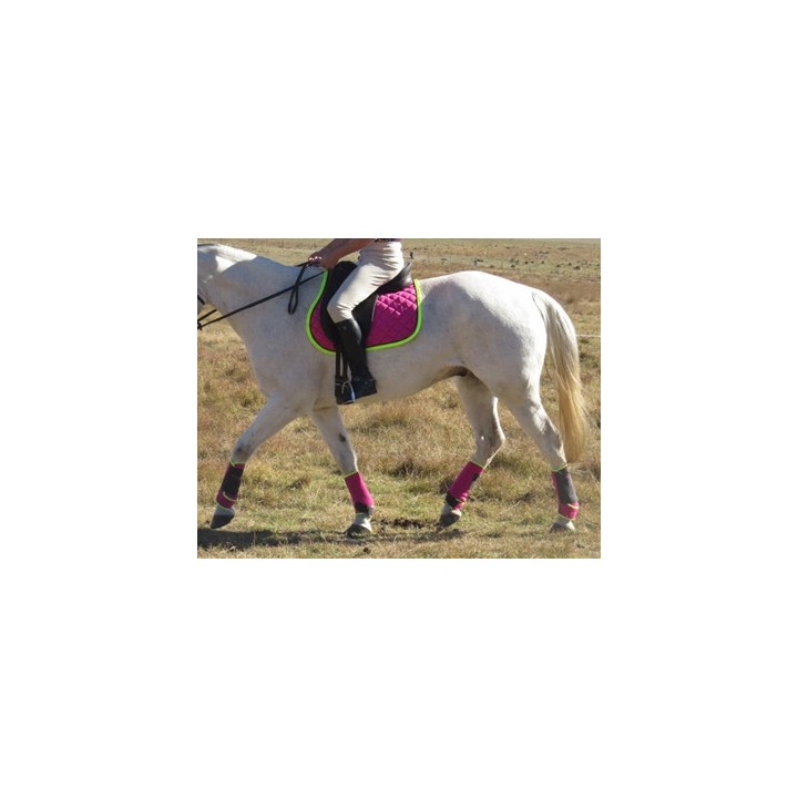 Grey horse wearing pink and lime horse boots