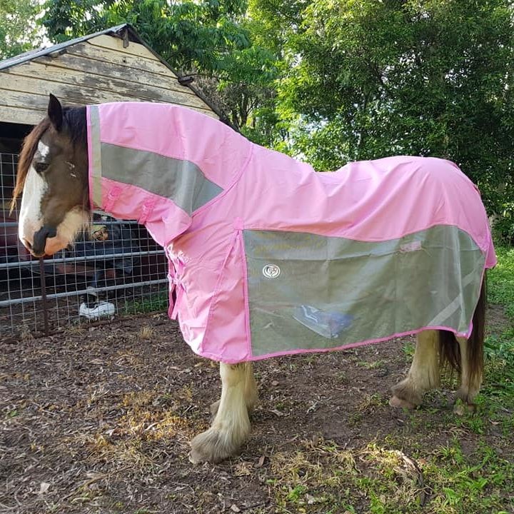 Clydesdale Rain Hybrid Combo Heavy Horse Rugs| LOVE MY HORSE AU