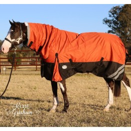1200D Winter Combo Horse Rug – 180g Medium Fill Orange | Love My Horse