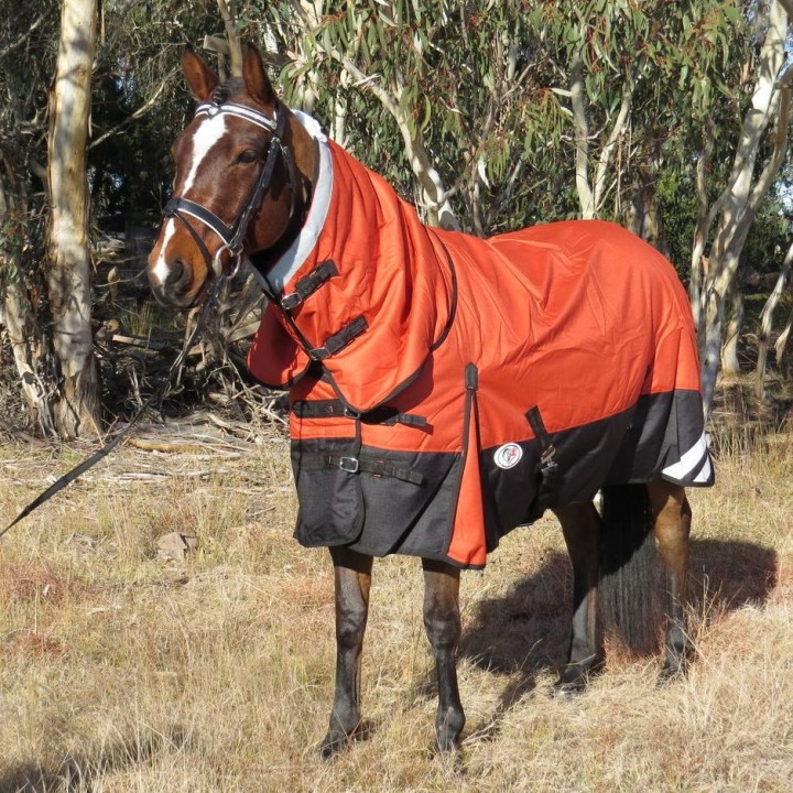 1200D Winter Combo Horse Rug – 180g Medium Fill Orange | Love My Horse