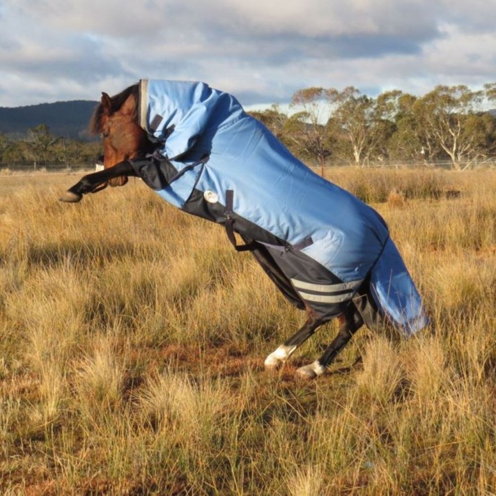 Winter Combo, heavy fill winter rug, 300g filling, no neck join combo, cold weather winter rug, LOVE MY HORSE, Australia