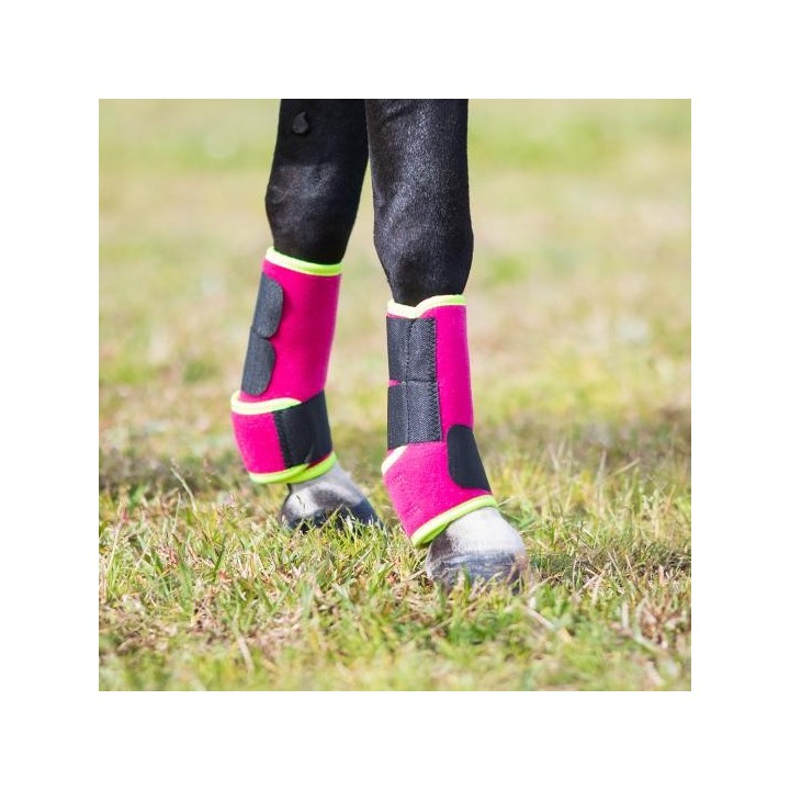 Black mini horse wearing pink and lime boots