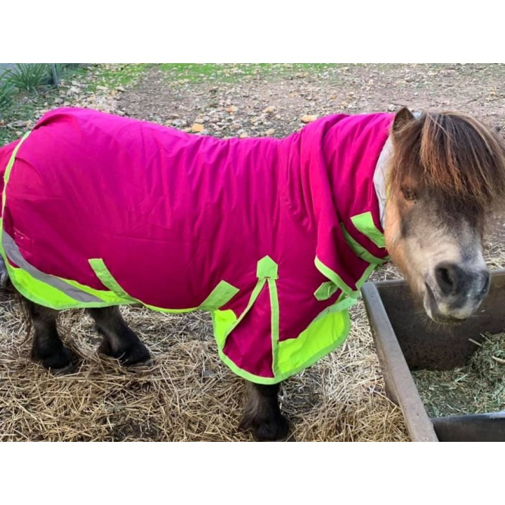 Miniature Rainsheet Combo Horse Rugs Pink Lime | LOVE MY HORSE
