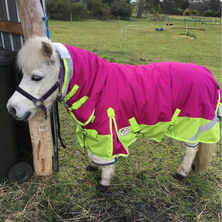 Miniature Rainsheet Combo Horse Rugs Pink Lime | LOVE MY HORSE