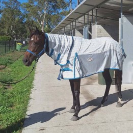 Cotton / Dura mesh with IR3535 treatment panels for strogn topline and cool mesh fly repellent summers