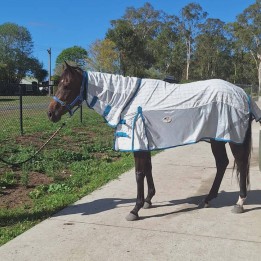 Mini Cotton IR3535 Fly Repellent Hybrid Rug | LOVE MY HORSE