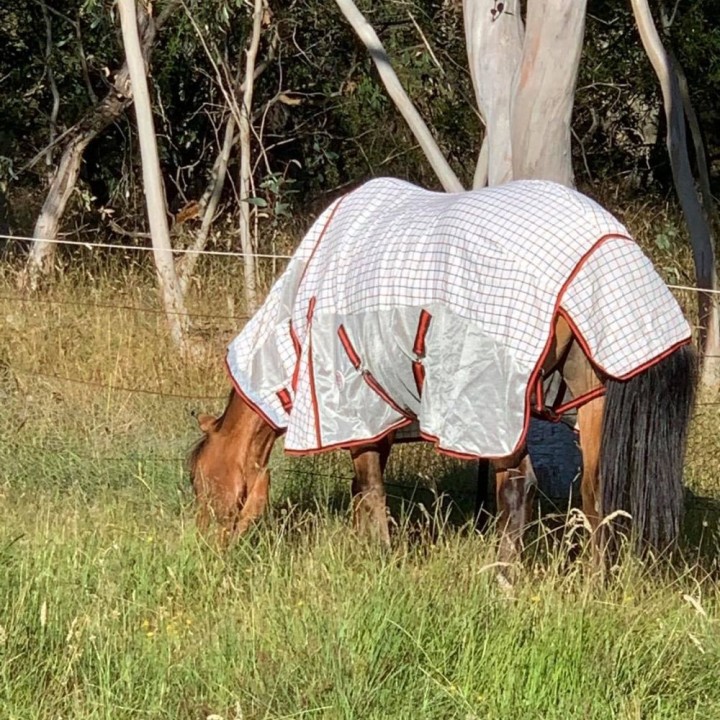 Cotton Dura Mesh Hybrid Combo Horse Rugs | LOVE MY HORSE AU