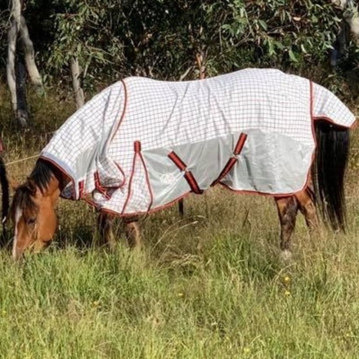 Cotton Dura Mesh Hybrid Combo Horse Rugs | LOVE MY HORSE AU