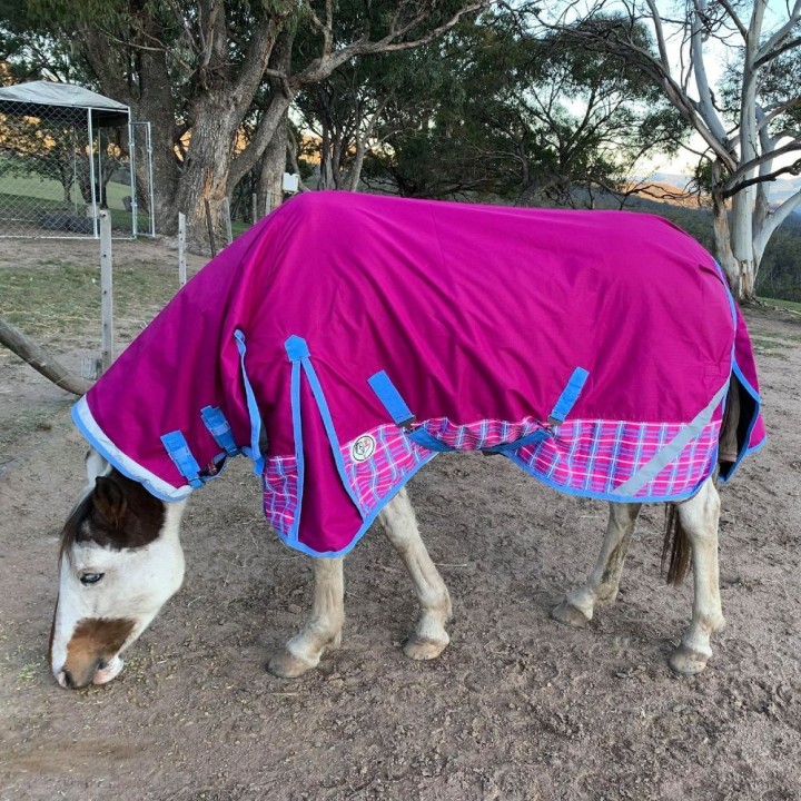 Mini Winter Combo Horse Rugs Pink Rasberry| LOVE MY HORSE AU