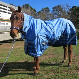 200g Winter Horse Rugs Blue – Medium Weight 600D Combo for Everyday Use