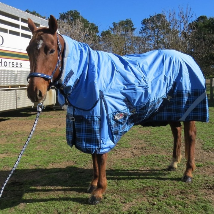 200g Winter Horse Rugs Blue – Medium Weight 600D Combo for Everyday Use