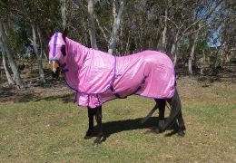WHY PROTECT YOUR HORSE FROM INSECTS?