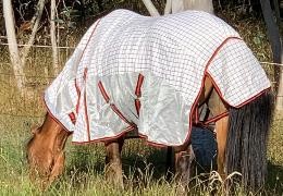 RUGGING GUIDE BY SEASON - When to Rug and Why
