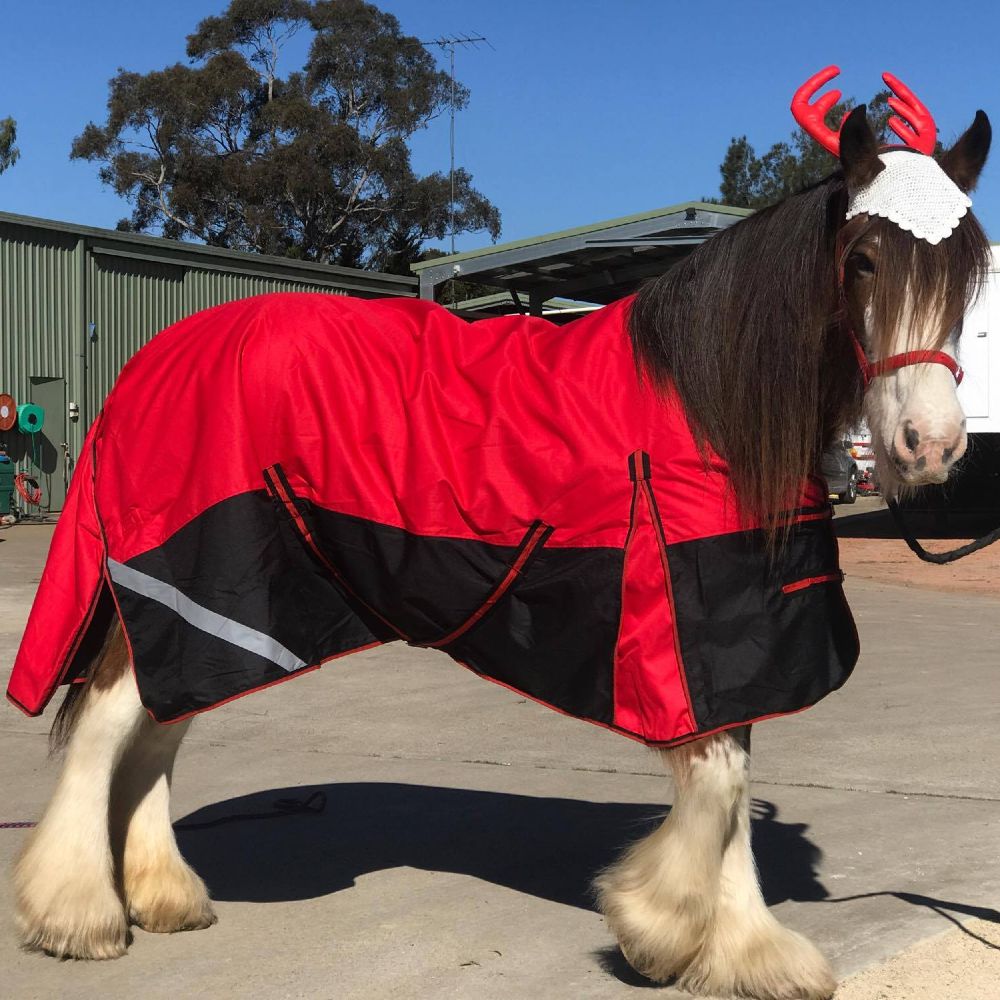  Margot S. Horse 